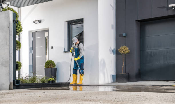 Best Fence Cleaning  in Sewalls Point, FL